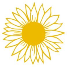 sunflower