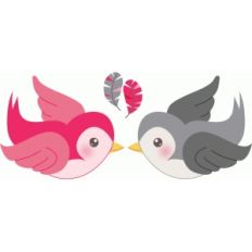 imaginisce birds