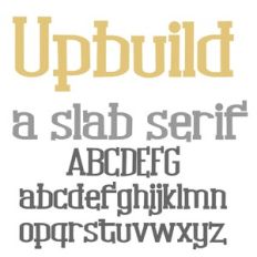 ZP Upbuild