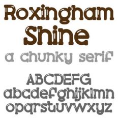 ZP Roxingham Shine