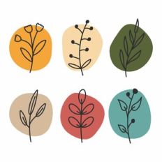 Leaves