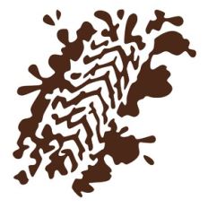 Muddy Tire Track