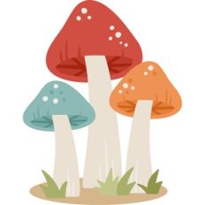fall mushrooms