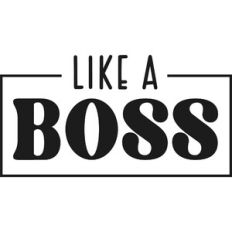 Like a Boss