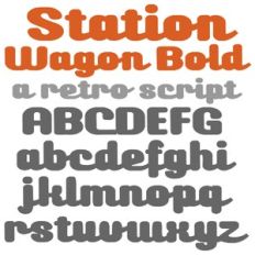 ZP Station Wagon Bold