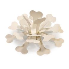 Bone Gift Bow