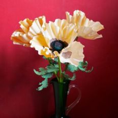 Oriental Poppy