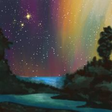 Northern Lights Landscape
