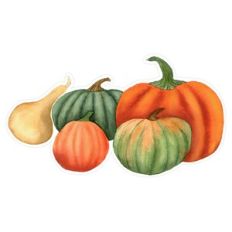 Fall / Autumn Watercolor Pumpkins and Gourd Print and Cut