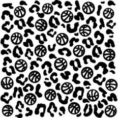 Basketball Leopard Print