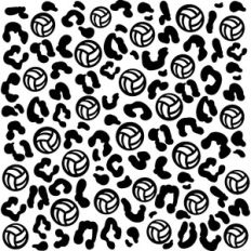 Volleyball Leopard Print