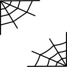 spider web corner