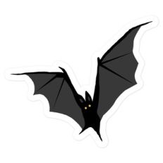 Bat