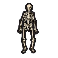 Skeleton