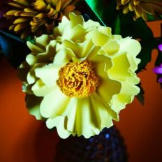 Hestia Flower