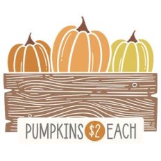 Colored Pumpkins in Crate