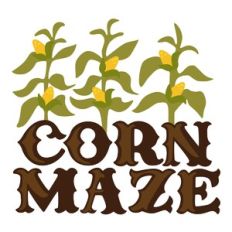 Corn Maze