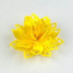 Lacy Practical Flower