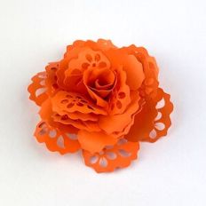 LACY PRACTICAL FLOWER 96