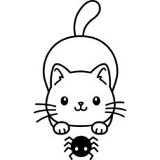 Cat with a spider