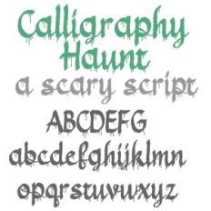 ZP Calligraphy Haunt