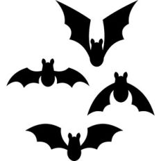bats flying