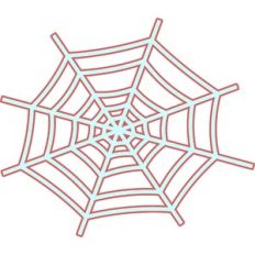 spider web