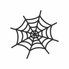 Spider Web