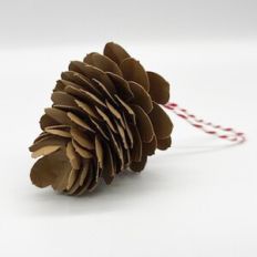3D Pine Cone