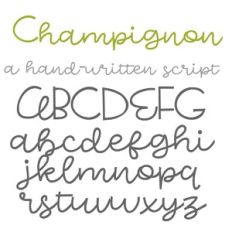 ZP Champignon