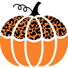 Pumpkin Leopard