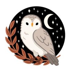 Owl with Moon and Stars