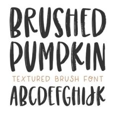 BFC Brushed Pumpkin Textured Brush Font