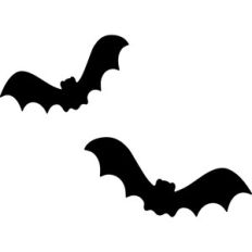 Bats