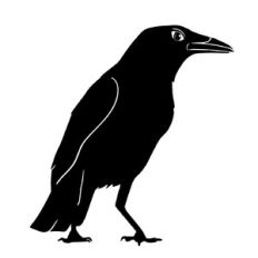 Crow svg