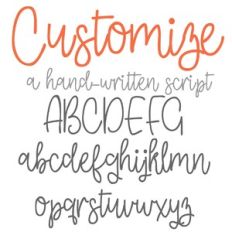 ZP Customize