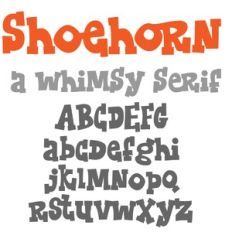 ZP Shoehorn