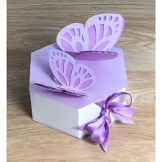butterfly box