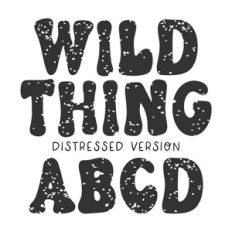 BFC Wild Thing Retro Distressed Font