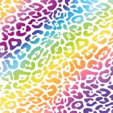 Leopard Print Rainbow
