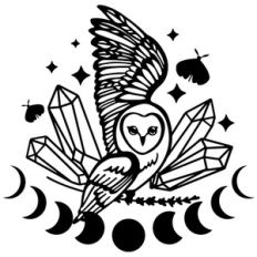 magic owl