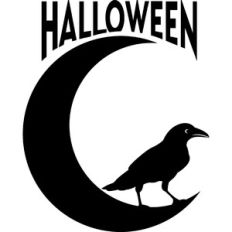 halloween crow on the moon