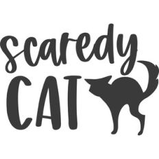 Scaredy Cat