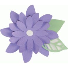 layered daisy flower