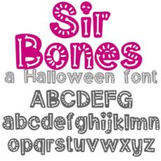 ZP Sir Boens