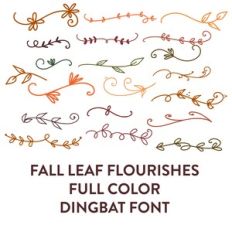 fall leaf flourishes full color dingbat font