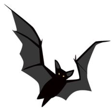 Bat