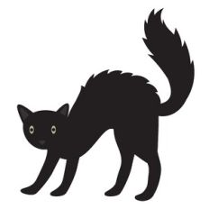 Black Cat