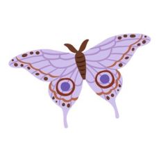 Purple Moon Moth