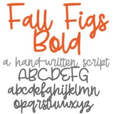 ZP Fall Figs Bold